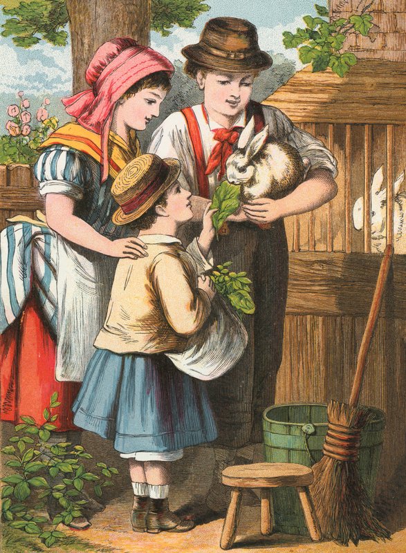Nourrir le lapin - English School