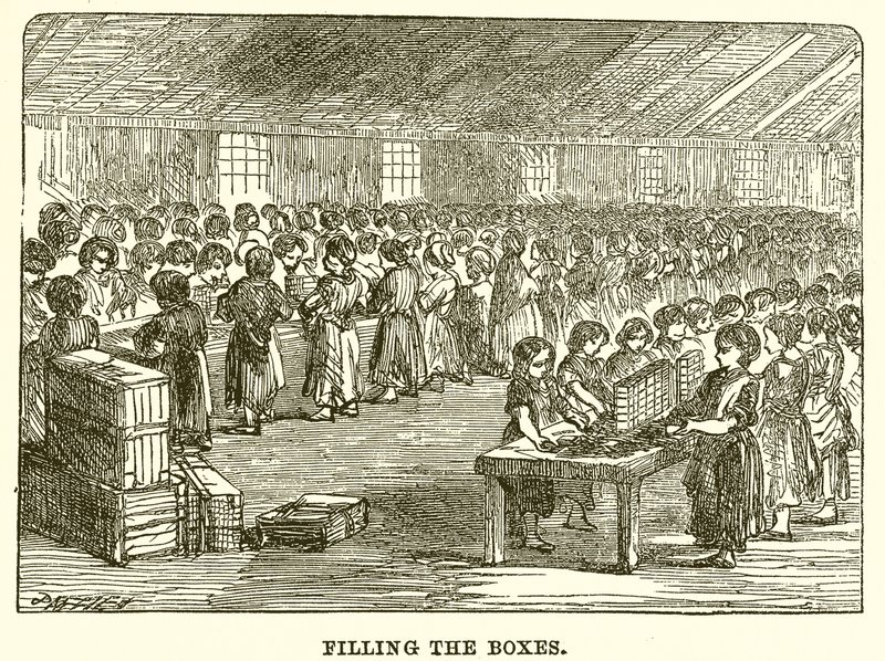 Remplissage des Boîtes - English School