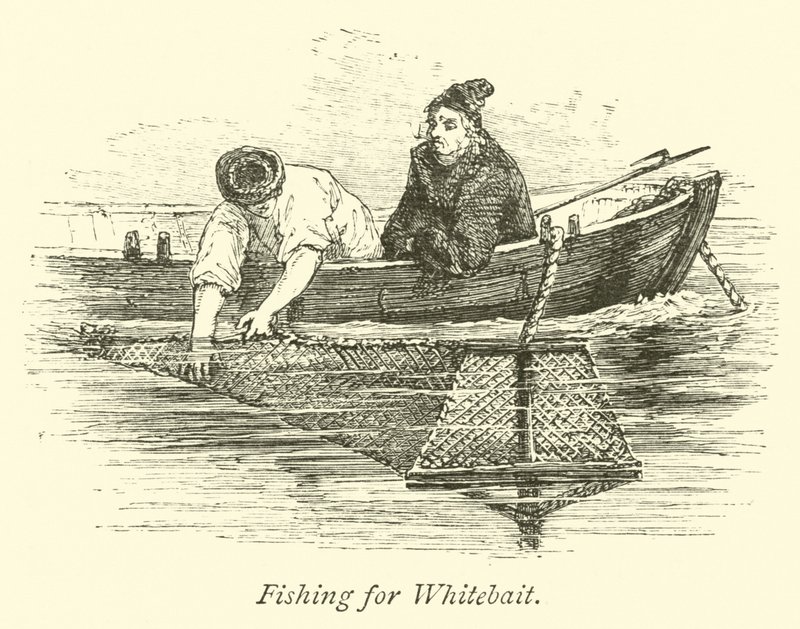 Pêche au fretin - English School
