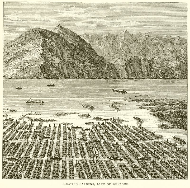 Jardins flottants, lac de Srinagur - English School