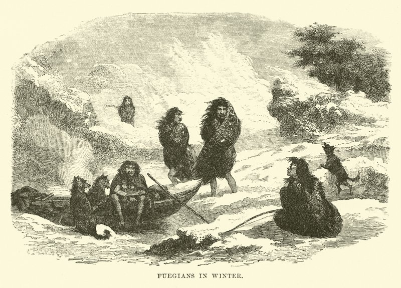 Fuegiens en hiver - English School