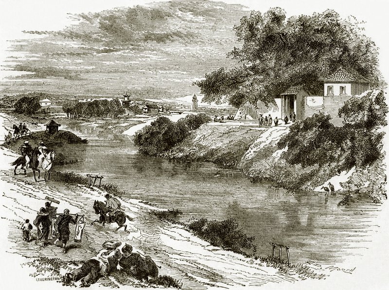 Jardin de l