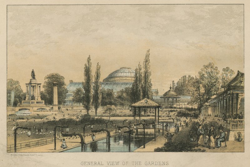Vue générale des jardins horticoles - English School