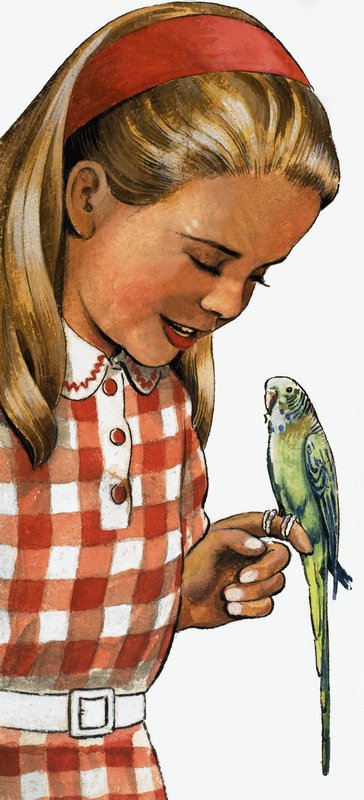 Fille avec une perruche - English School
