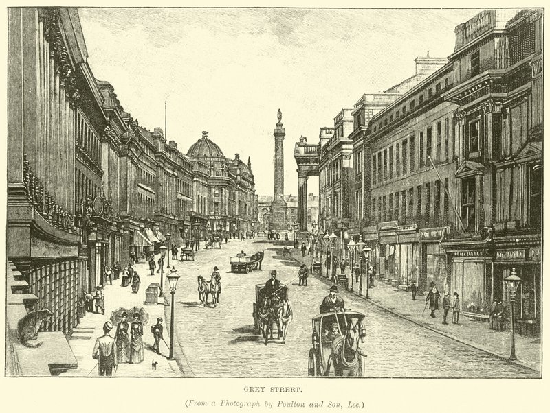 Rue Grise - English School