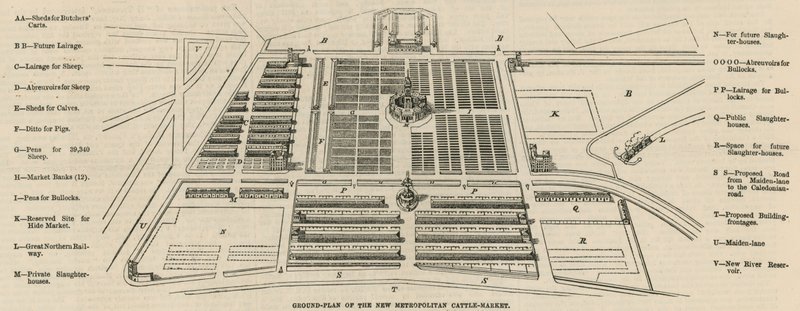 Plan du nouveau Marché aux Bestiaux Métropolitain, Copenhagen Fields - English School