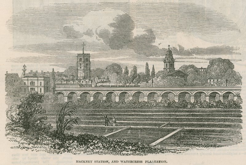 Gare de Hackney et plantation de cresson, Londres - English School