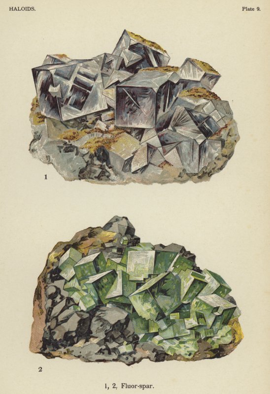 Halogénures, fluorine (lithographie en couleur) - English School
