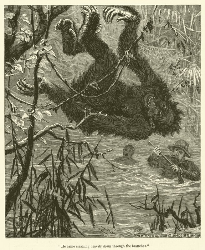 "Il est tombé lourdement à travers les branches" (gravure) - English School