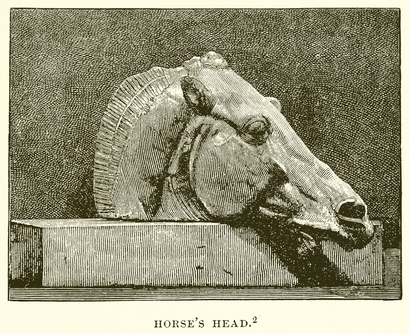 Tête de cheval - English School