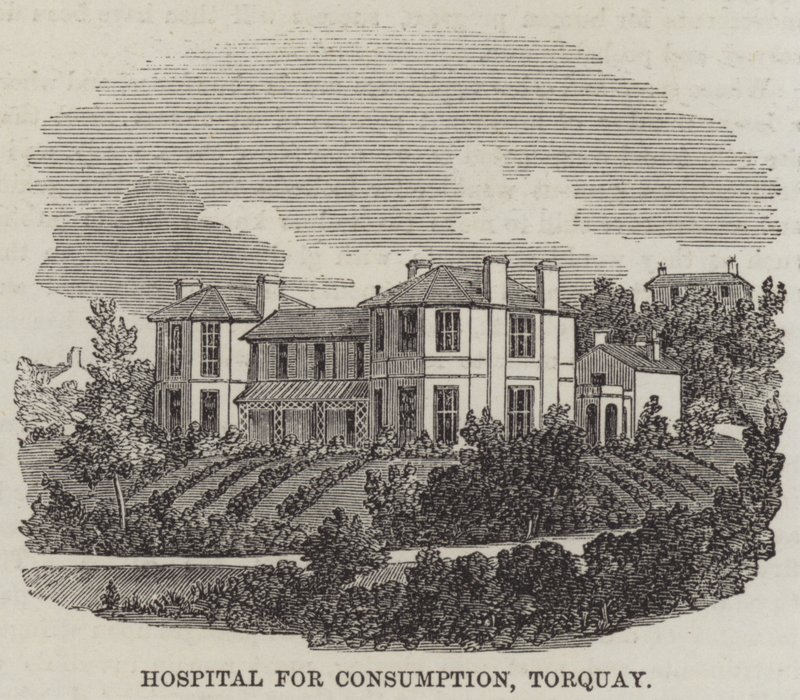 Hôpital pour la consommation, Torquay - English School