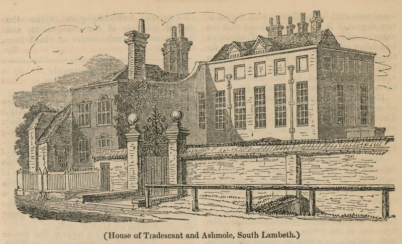 Maison de Tradescant et Ashmole, South Lambeth - English School