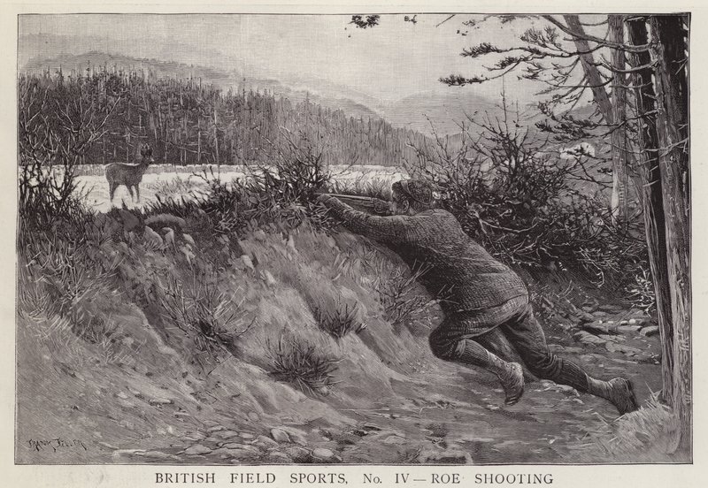 Chasseur tirant sur un chevreuil (lithographie) - English School