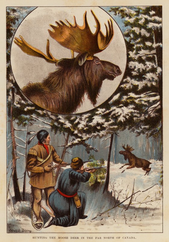 Chasse à l