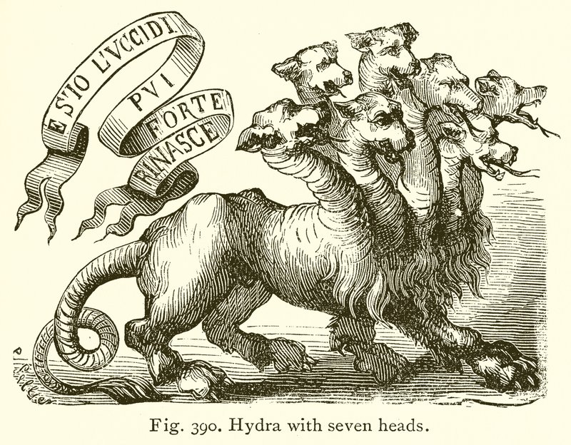 Hydre à sept têtes - English School