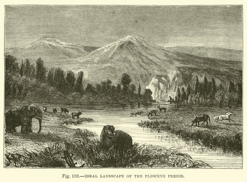 Paysage idéal de la période du Pliocène - English School