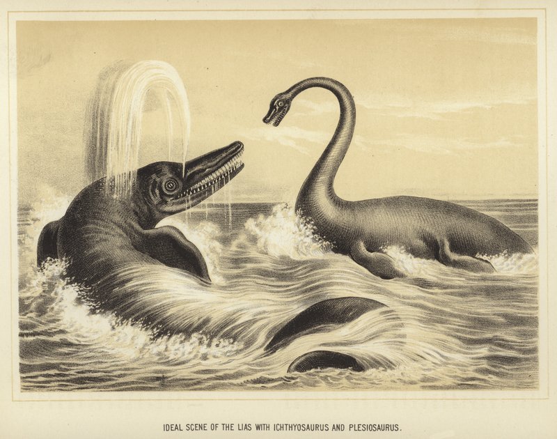 Scène idéale du Lias avec Ichthyosaure et Plésiosaure - English School