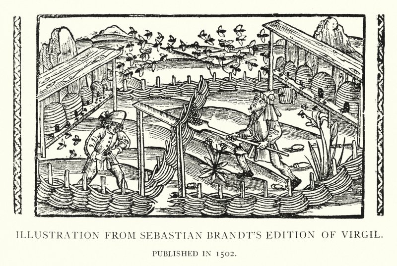 Illustration de l