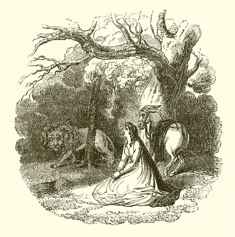 Illustration de la Reine des Fées - English School