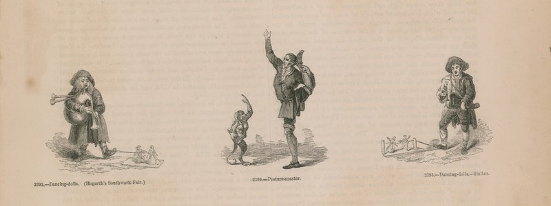 Illustrations de l