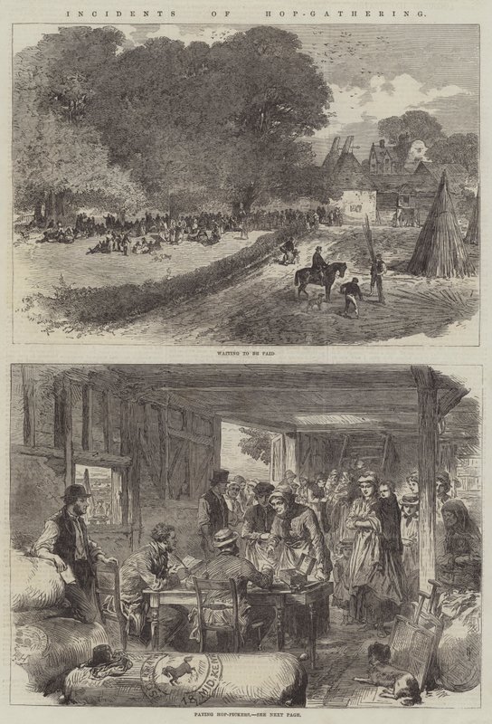 Incidents de la Récolte du Houblon - English School