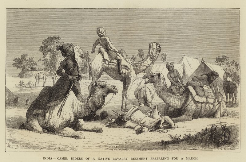 Inde, cavaliers de chameaux d