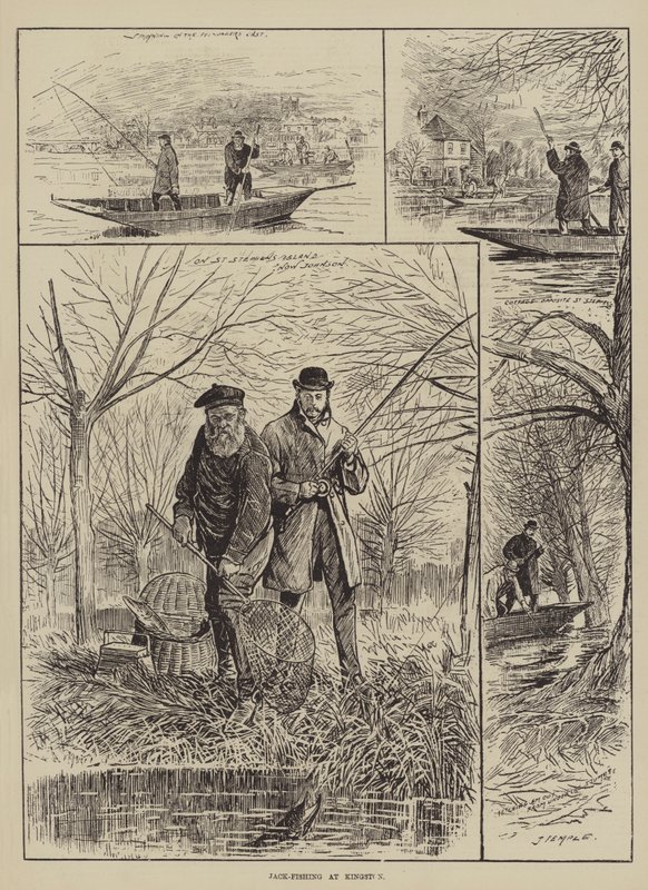 Pêche au Brochet à Kingston - English School