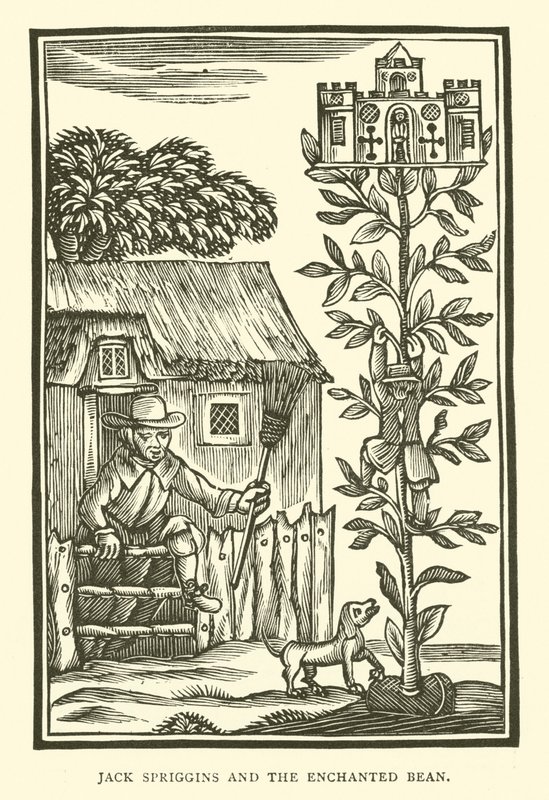 Jack Spriggins et le haricot enchanté - English School