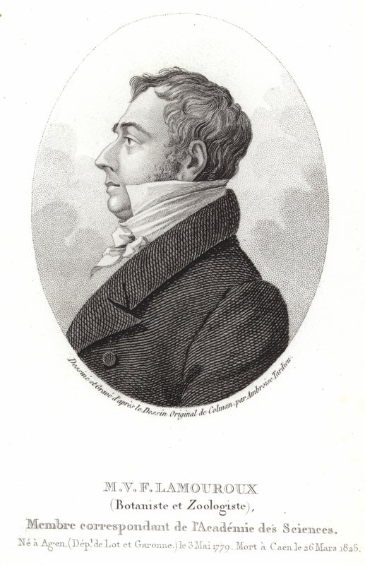 Jean Vincent Félix Lamouroux - English School