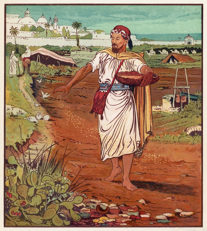Paraboles de Jésus : Le semeur et la semence - English School