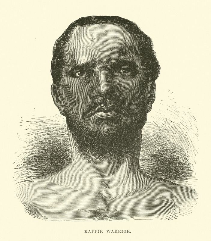 Guerrier kaffir - English School
