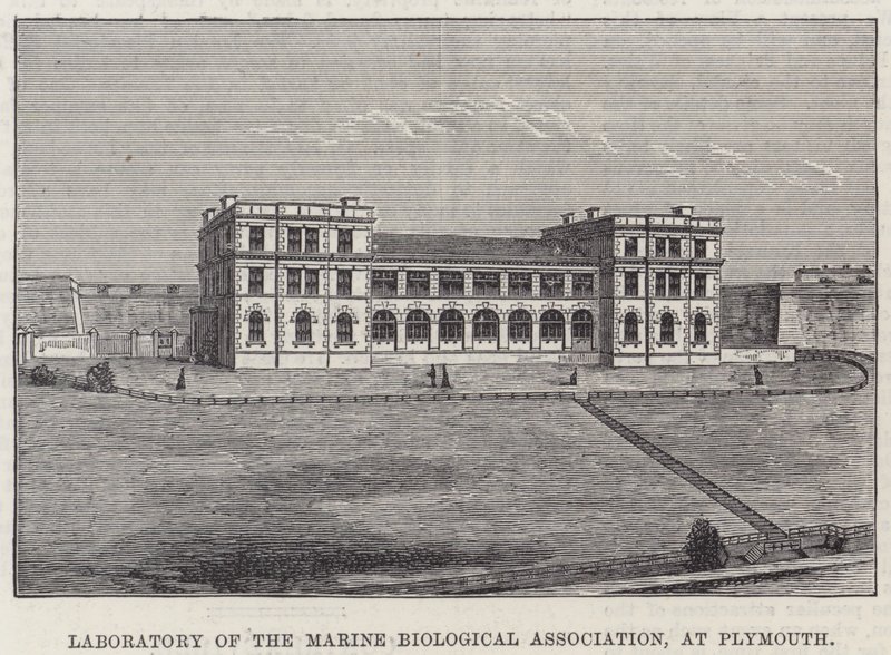Laboratoire de l