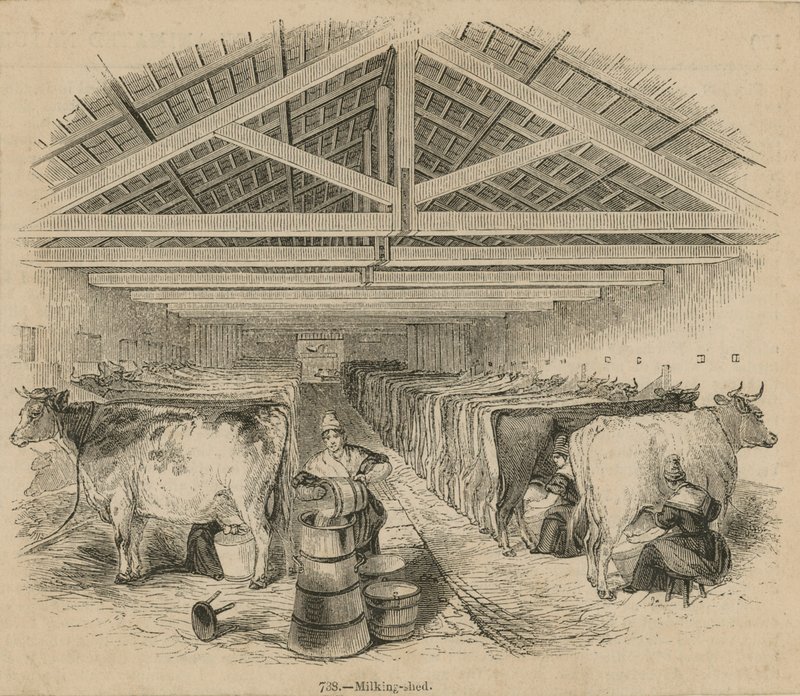 Ferme laitière de Laycocks, datée de juillet 1841 - English School