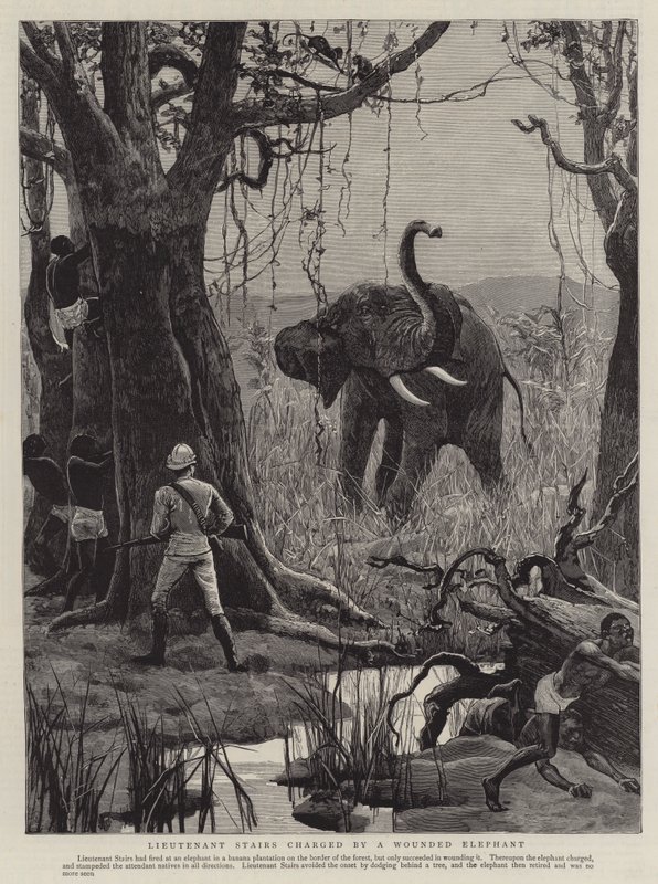 Le lieutenant Stairs chargé par un éléphant blessé - English School