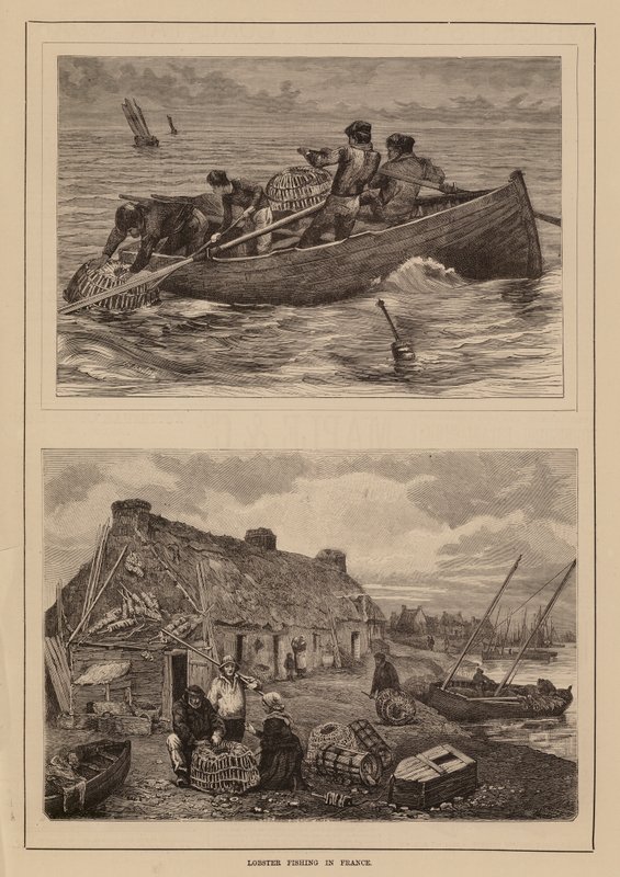 Pêche au homard, France - English School