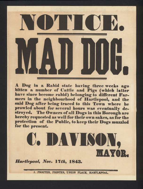 Avis de chien enragé, Hartlepool, 1843 - English School