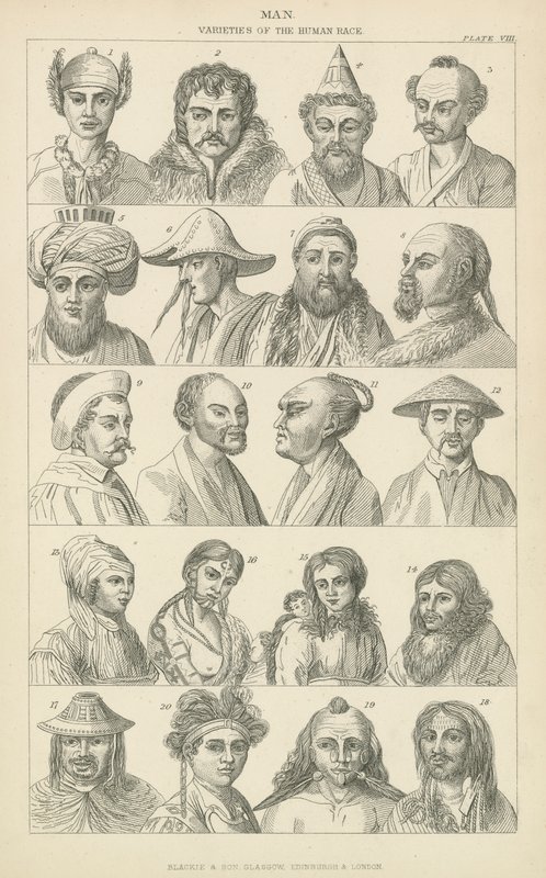 Homme. Variétés de la race humaine - English School