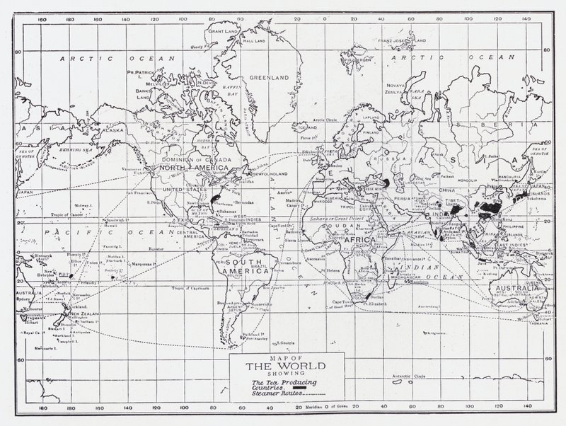 Carte du monde montrant les pays producteurs de thé - English School