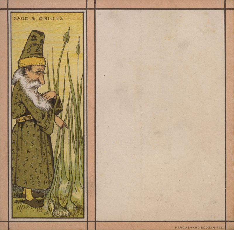 Illustration de menu : Sauge et oignons - English School