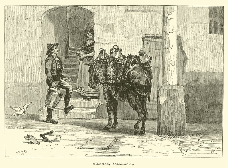 Laitier, Salamanque - English School