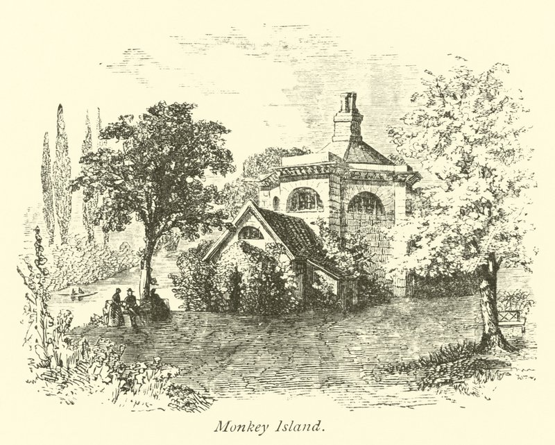 Île aux Singes - English School
