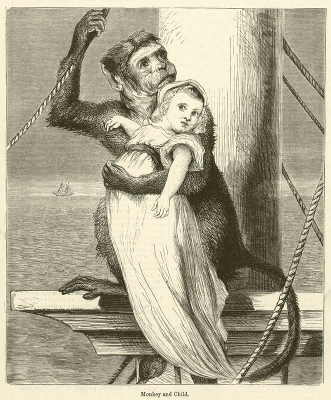 Singe et enfant (gravure) - English School