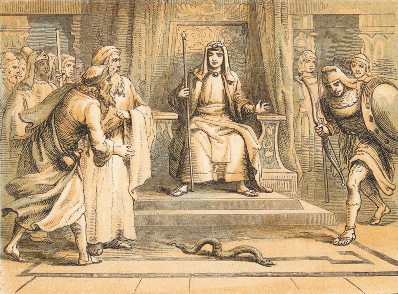 Moïse et Aaron devant Pharaon - English School