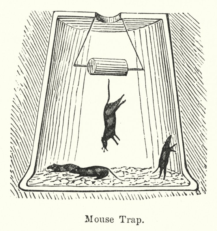 Piège à souris (gravure) - English School