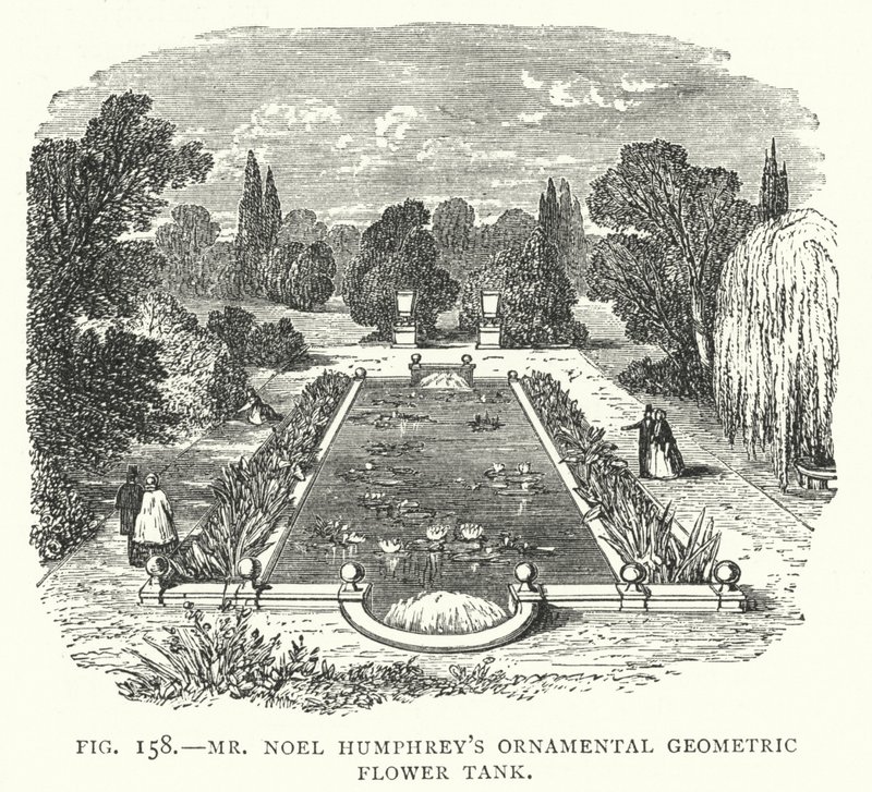 Réservoir de fleurs géométriques ornementales de M. Noel Humphrey - English School