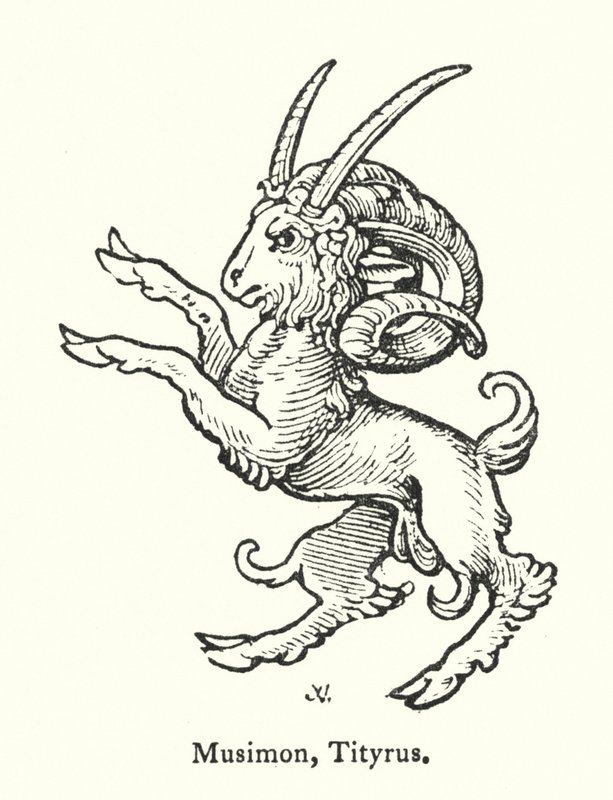 Musimon, Tityrus (gravure) - English School