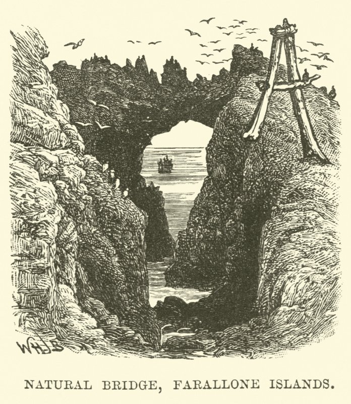 Pont naturel, Îles Farallon - English School