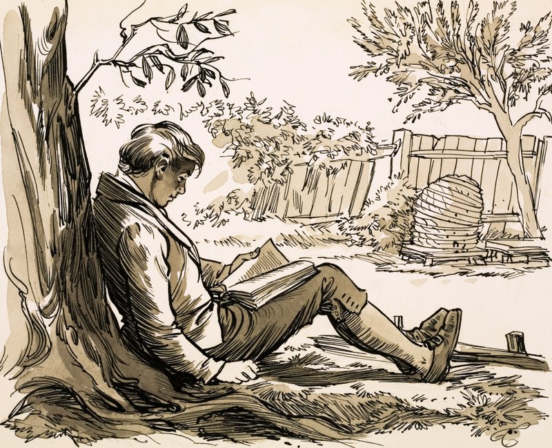 Le naturaliste David Douglas a été inspiré à explorer en lisant Robinson Crusoé - English School