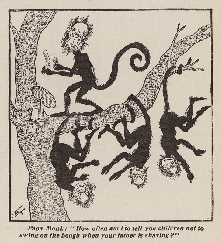 Singes coquins (litho) - English School