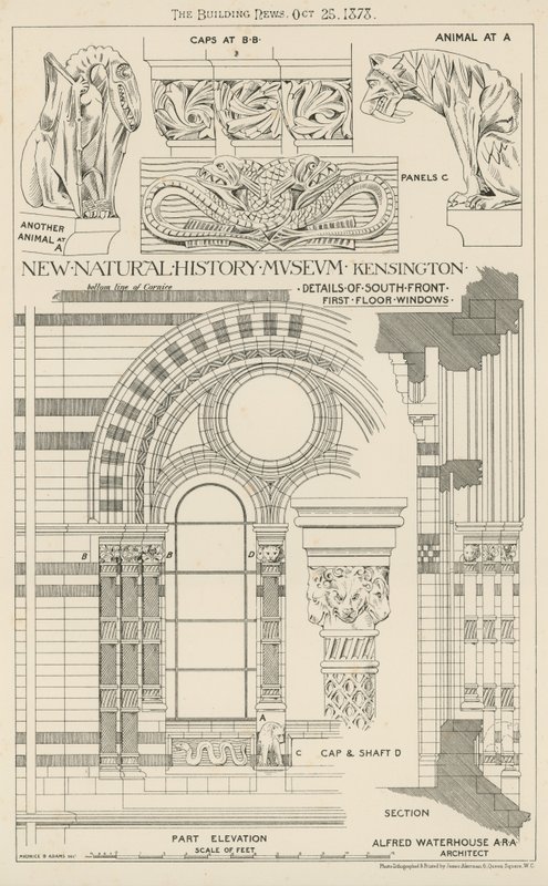 Nouveau Musée d